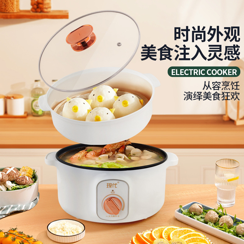 Multifunktionaler Mini-Elektro – Home Cooking Electric Bewertung und Preis