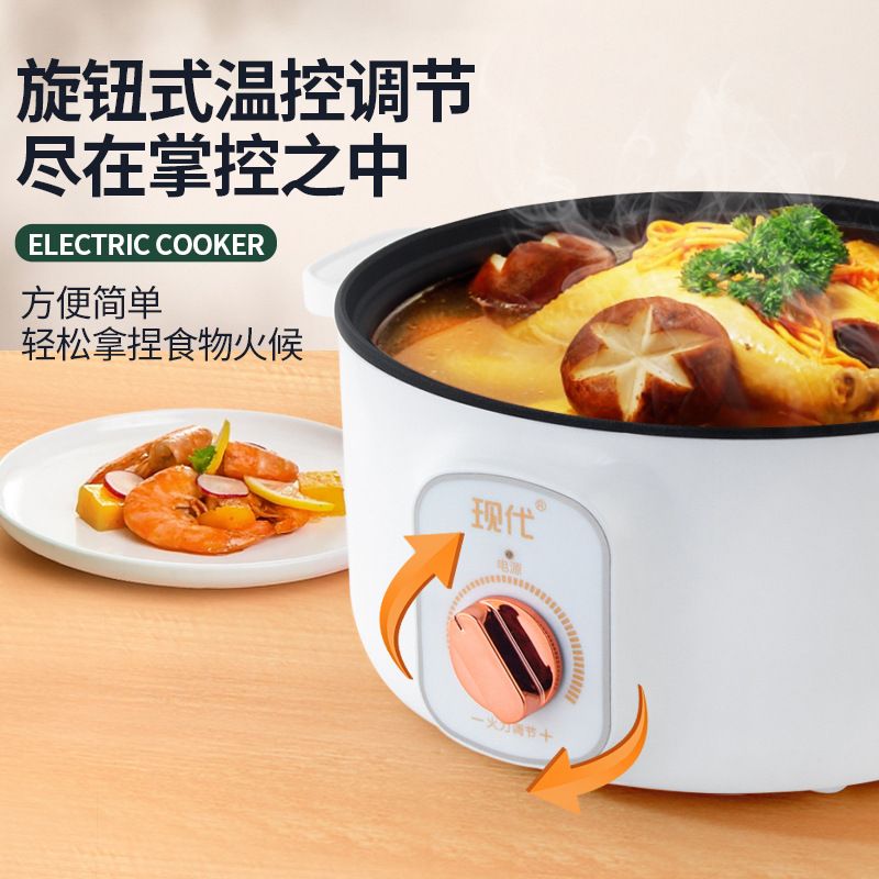 Multifunktionaler Mini-Elektro – Home Cooking Electric Bewertung und Preis